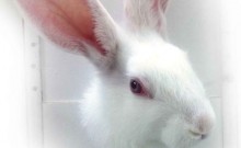 > </div>
<div class=